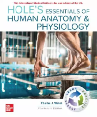Image of HOLE’S ESSENTIALS OF HUMAN ANATOMY & PHYSIOLOGY